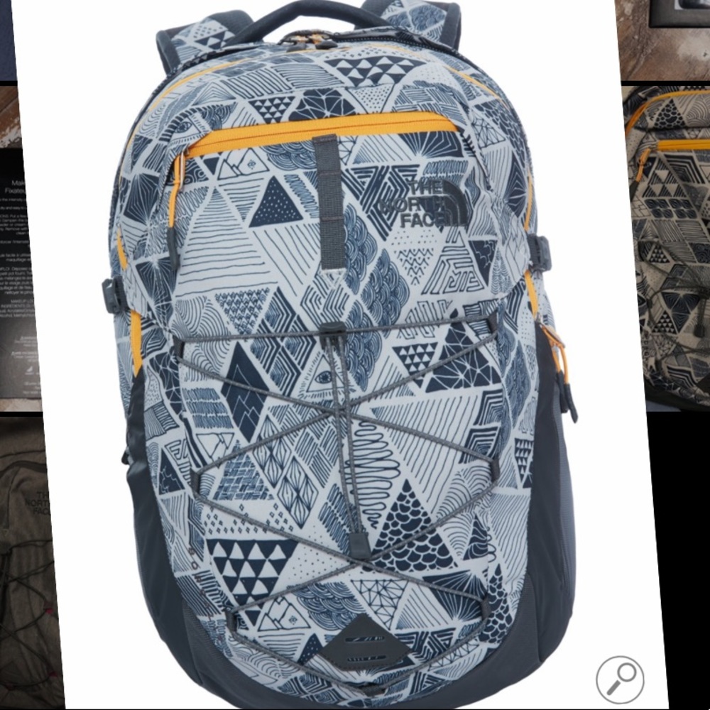Northface Borealis Backpack